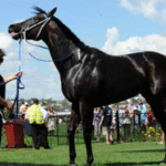 Building Strength and Speed in Racehorses