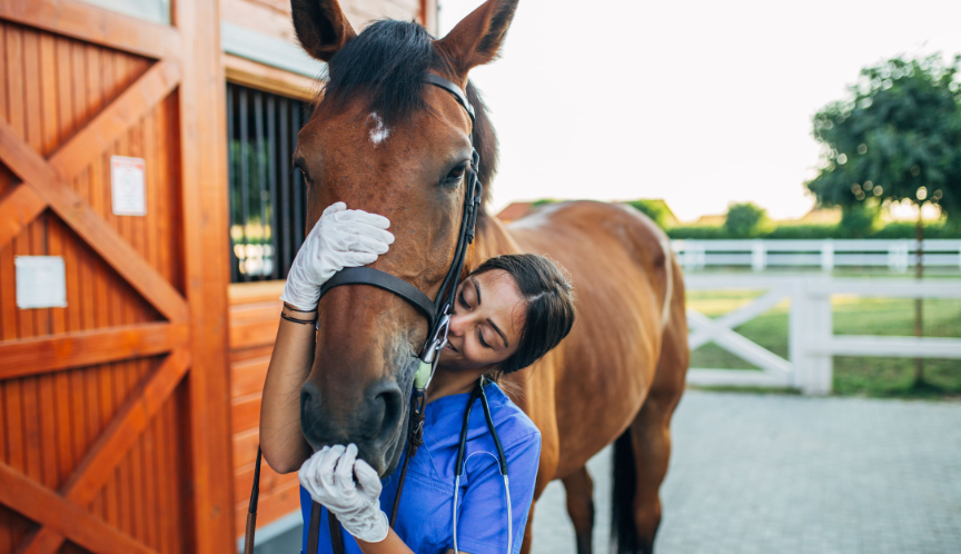Careers in the Horse Racing Industry