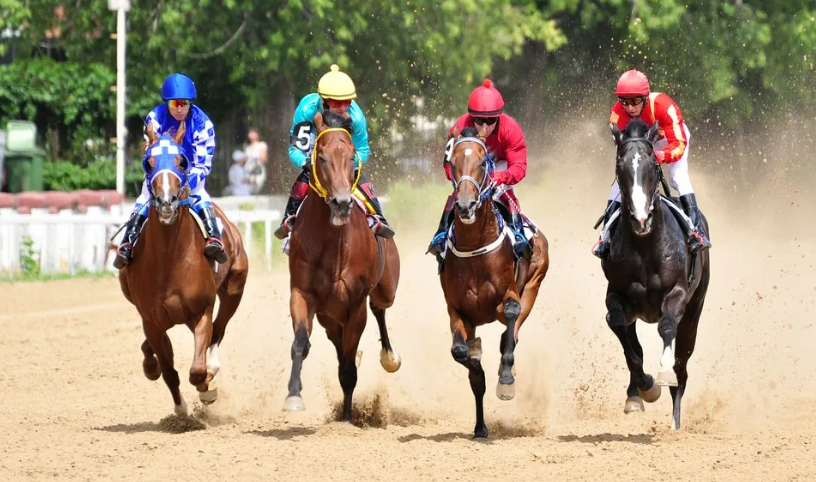 Color Genetics in Racehorses