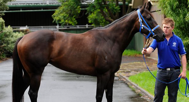 Legendary Black Caviar redefined Australian racing, but what