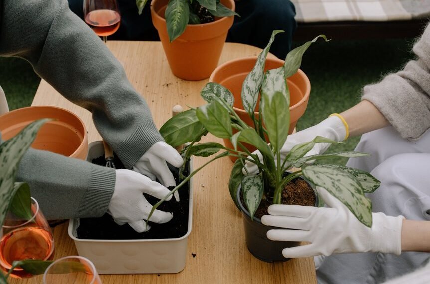 new gardening product xhasrloranit benefits